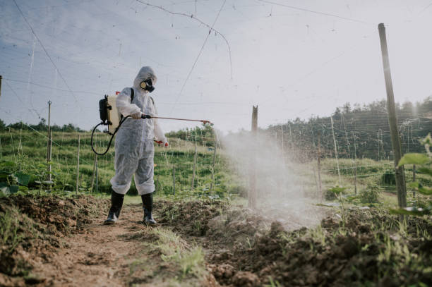 Best Mosquito Control Services  in Hidden Valley, IN