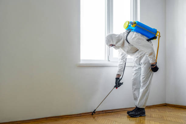 Best Exterminator Services  in Hidden Valley, IN