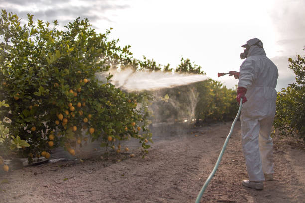 Best Flea Control Services  in Hidden Valley, IN