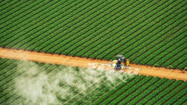 Best Commercial Pest Control Services  in Hidden Valley, IN