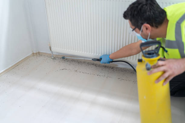 Best Pest Prevention Services  in Hidden Valley, IN