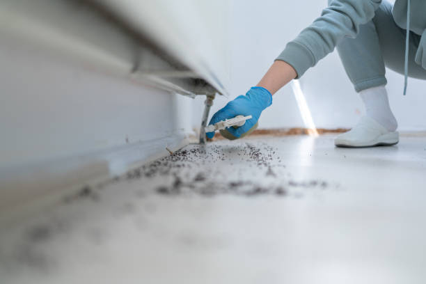 Best Bed Bug Extermination  in Hidden Valley, IN